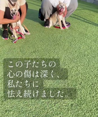 なかなか心を開けなかった