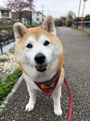 笑顔