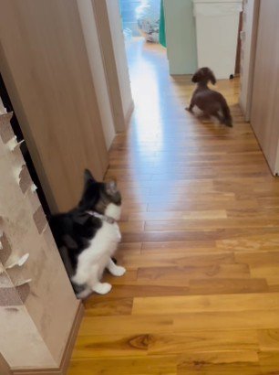 思わず腰が抜ける