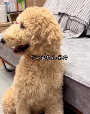 「もしかして…?」