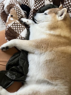 ダウン