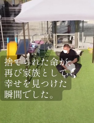 幸せになったわんこたち