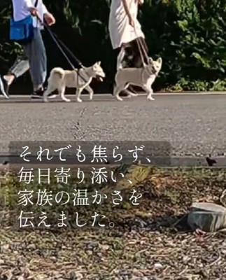少しずつ心の距離を縮める