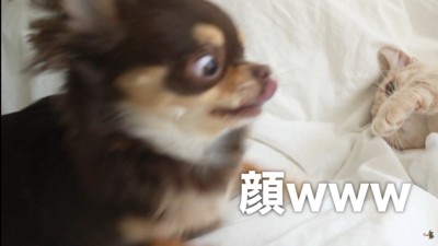 ビビりまくり！（笑）