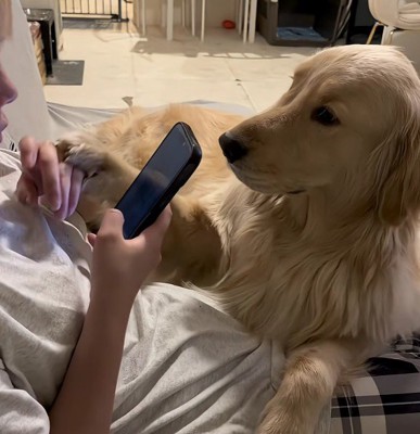 「スマホばっかり見ないで！」