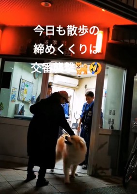 方向転換する秋田犬