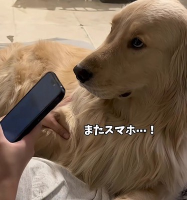 「またスマホ…！」