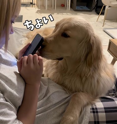 「なでてほしいな」