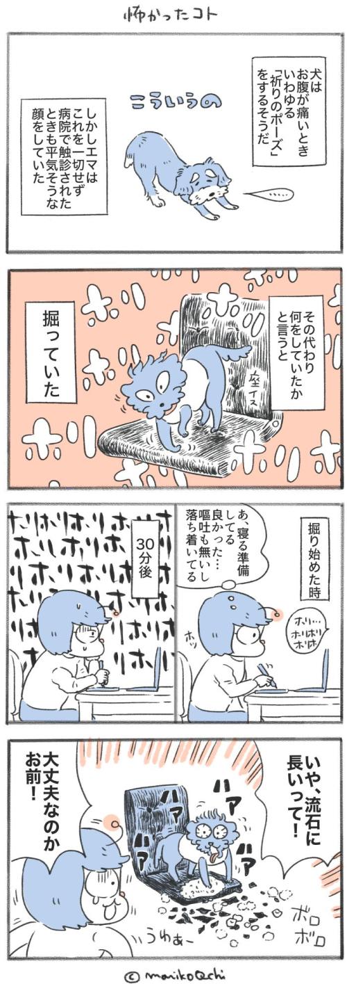 犬と暮らせば【第541話】