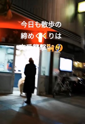 交番に向かう秋田犬
