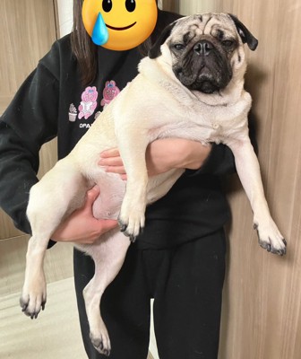 抱っこ