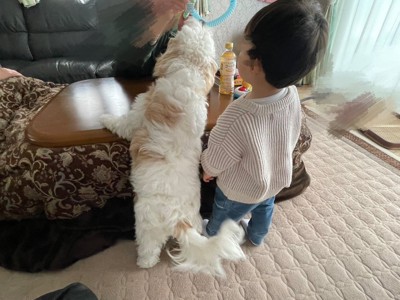関係性