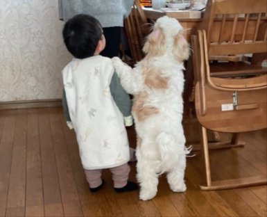 息ぴったり