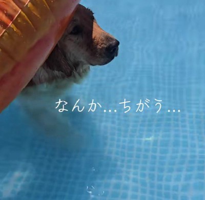 「なんでこんなことに…」