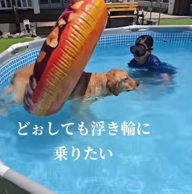 浮き輪が半回転