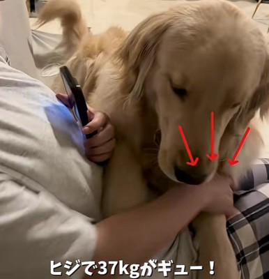 体重をかけて不満アピール