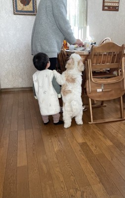 背丈