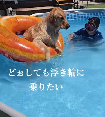 「僕も乗りたい…！」