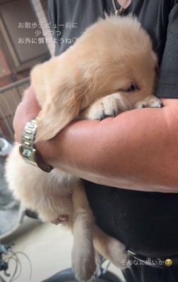 怖がる子犬