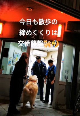 警察官に撫でてもらう秋田犬