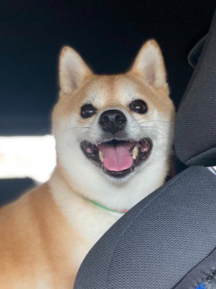 「お母さん、いた!!」