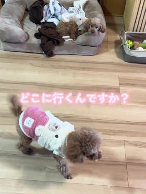 「どこ行くの？」