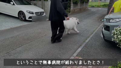 「もう帰る!」
