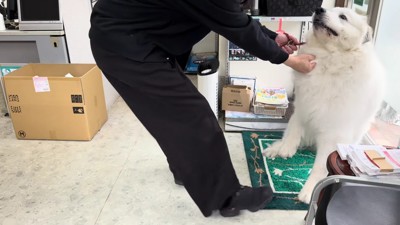 「注射なんて無理です…」