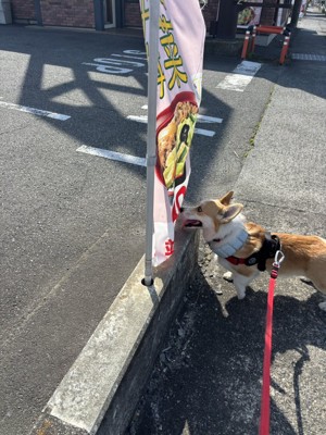 のぼり旗