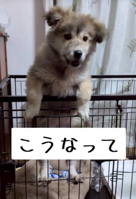 1ヶ月後