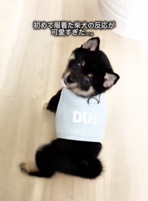 固まるまかお君