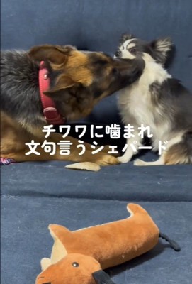 レオくんは拒絶