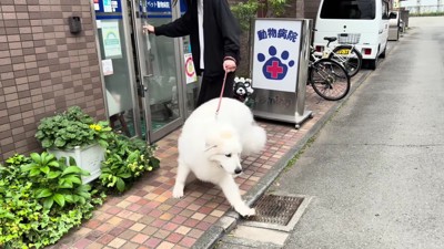 「やっぱり帰ります!」
