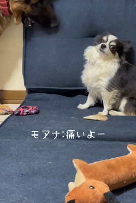 文句が止まりません!