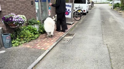 病院が大の苦手なドレミちゃん