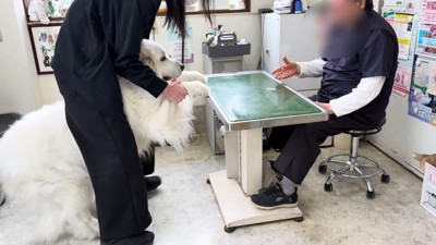 完全にへっぴり腰
