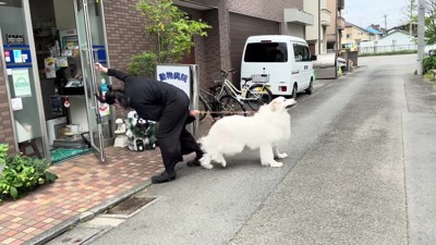 まさかのフェイント!?