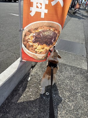 のぼり旗