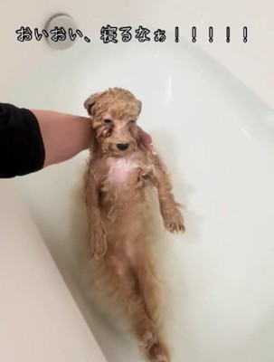 お風呂の温度が気持ちいい
