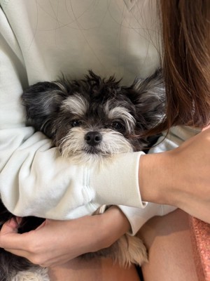 抱っこ