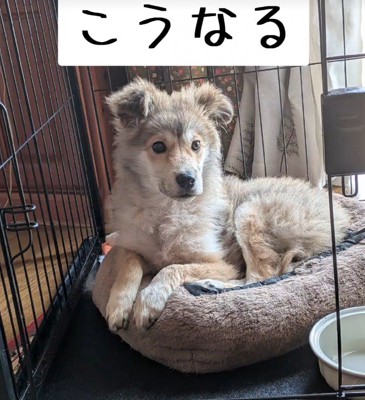 さらに1ヶ月後