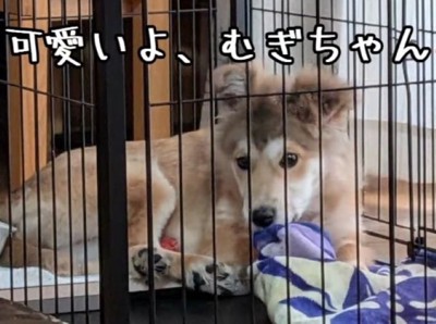 これはこれで可愛い♡