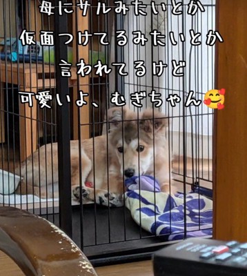 おサルさんのようになりました