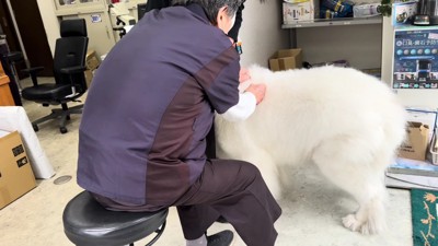 あっという間に終了