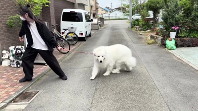 あえなく逃走失敗