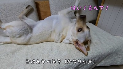 お目目キラーン