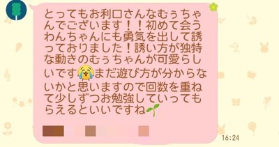中間報告