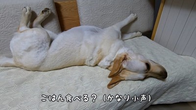 「ご飯食べる?」と小声で質問