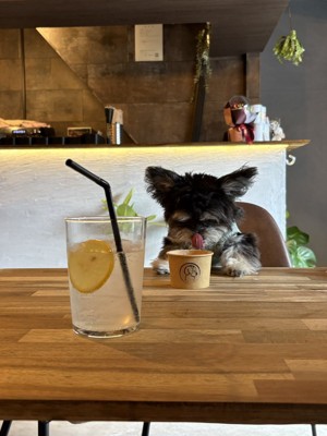 カフェ