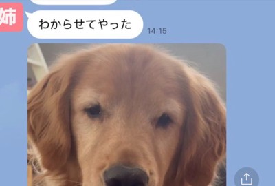 わからせて